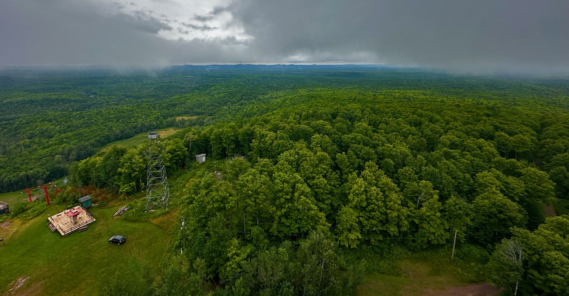 Upper Peninsula Forests